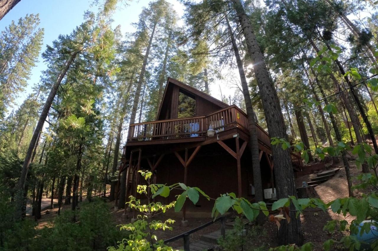 Beautiful Cabingated Parkpinecrest & Dodge Ridge Villa Long Barn ภายนอก รูปภาพ